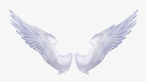 Angel Wings Transparent Background - Angel Wings No Background, HD Png Download, Free Download