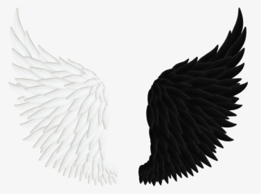Angel Wings Png, Transparent Png, Free Download