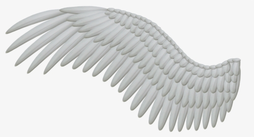 Wings Png Hd - Angel Wing Png, Transparent Png, Free Download