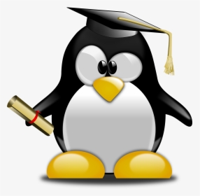 Tux Graduate Clip Arts - Penguin Graduate, HD Png Download, Free Download