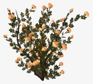 Polyvore Pngs, Transparent Png, Free Download