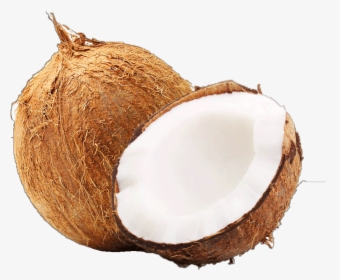 Coconut Each - Coconut Water Related Words, HD Png Download, Free Download