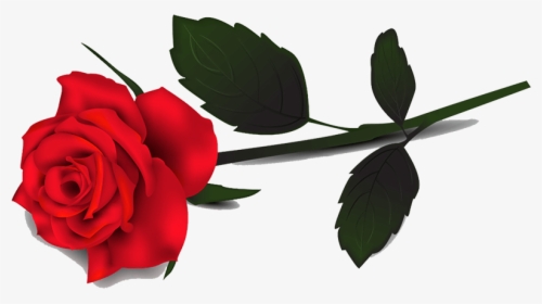 Red Rose Clipart - Single Red Rose Transparent Background, HD Png Download, Free Download