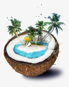Good Morning With Coconut, HD Png Download, Free Download