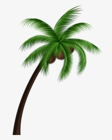 Coconut Palm Tree Png Clip Art - Coconut Oil For Dengue, Transparent Png, Free Download