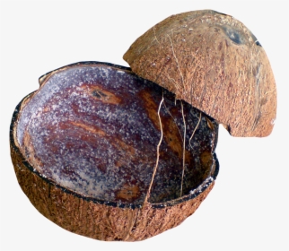 Coconut Shell, HD Png Download, Free Download