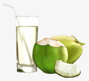Coconut With Water In It Png - Coconut Water Glass Png, Transparent Png, Free Download