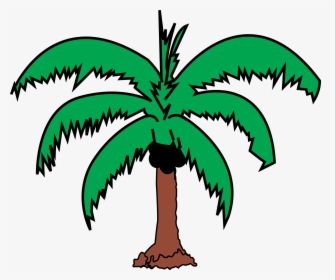 Coconut Tree Leaf Drawing, HD Png Download, Free Download