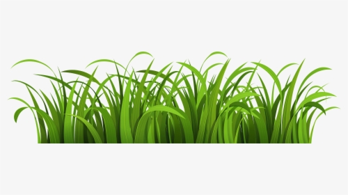 Cartoon Transparent Background Grass, HD Png Download, Free Download