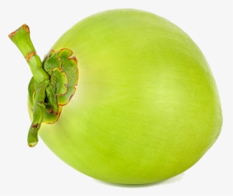 Coconut Png Images, Transparent Png, Free Download