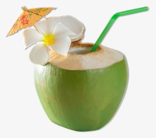 Coconut , Png Download - Green Coconut With Straw, Transparent Png, Free Download