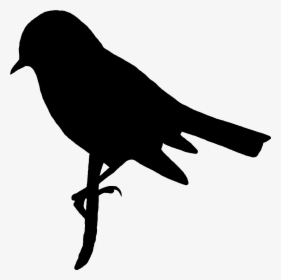 Bird Silhouette Clip Art - Firecrest Bird Silhouette, HD Png Download, Free Download
