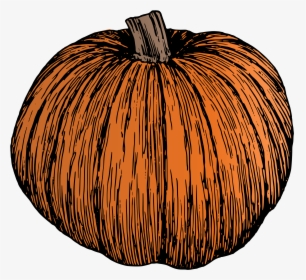 Vector Transparent Clipart Pumpkin - Pumpkin Illustration Black And White, HD Png Download, Free Download