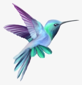 Watercolor Bird Png - Pink And Purple Hummingbird, Transparent Png, Free Download