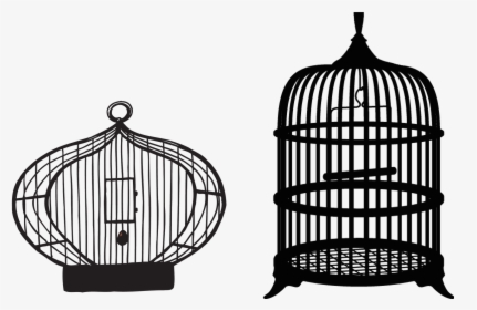 Cage Bird Png Image - Small Bird Cage Background, Transparent Png, Free Download
