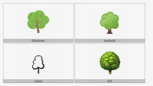 Deciduous Tree On Various Operating Systems - Broccoli, HD Png Download, Free Download