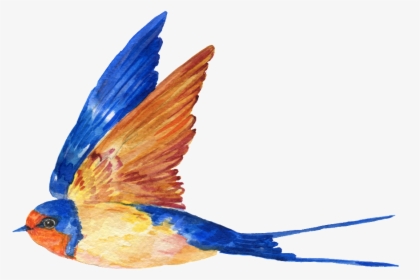 This Graphics Is Hand Painted A Free Flying Bird Png - Birds Transparent Background Fly, Png Download, Free Download