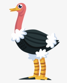 Transparent Emu Clipart - Animales Avestruz Vertebrados Animados Aves, HD Png Download, Free Download