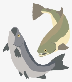 Donate-fish - Illustration, HD Png Download, Free Download