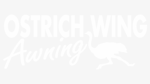 Ostrich Wing Awnings - Ciconiiformes, HD Png Download, Free Download