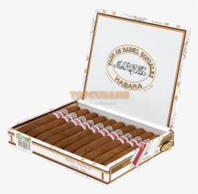88 Asian Regional Production - Rafael Gonzalez Cigars, HD Png Download, Free Download