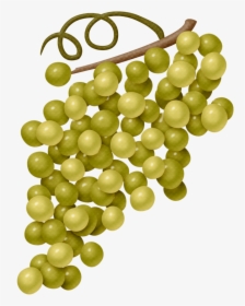 Comida, Frutas Bebidas Etc - Seedless Fruit, HD Png Download, Free Download