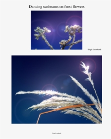 Graphic Design, HD Png Download, Free Download