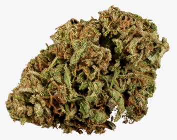 100% Cbd Weed, HD Png Download, Free Download