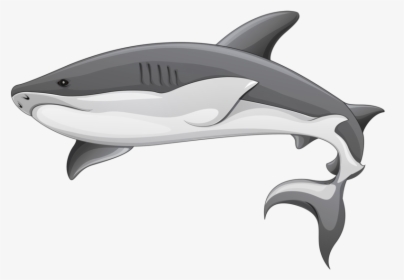 Background Shark Sharks Transparent - Transparent Background Shark Clipart, HD Png Download, Free Download