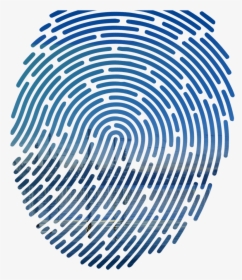 Fingerprint Vector, HD Png Download, Free Download