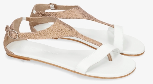 Sandals Collete 4 Grafi Bronze Nappa White - Flip-flops, HD Png Download, Free Download