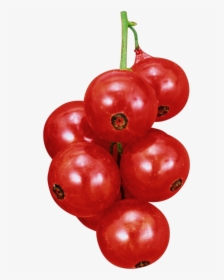 Cherry Tomatoes, HD Png Download, Free Download