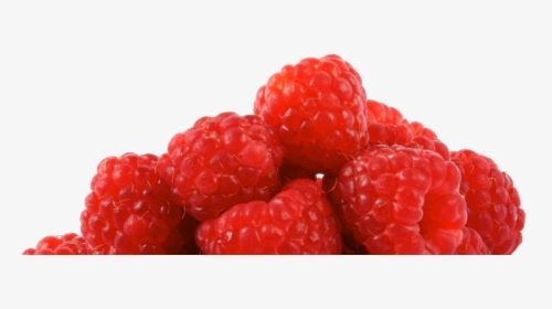 Photo Of Raspberries - Morra Fruta, HD Png Download, Free Download