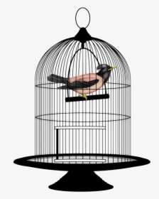 Bird In A Cage Png, Transparent Png, Free Download