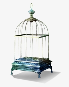Tubes Bird Cage Png , Png Download - Cage À Oiseaux Png, Transparent Png, Free Download