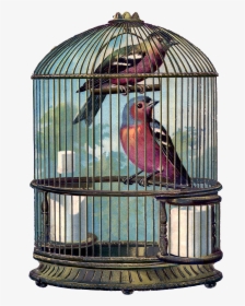 Vintage Bird Cage Png , Png Download - Bird In Bird Cage, Transparent Png, Free Download