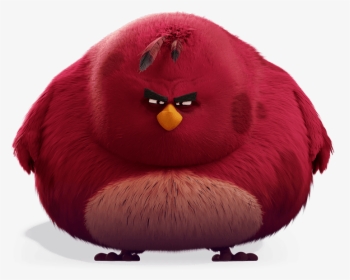 Terence From Angry Birds, HD Png Download, Free Download