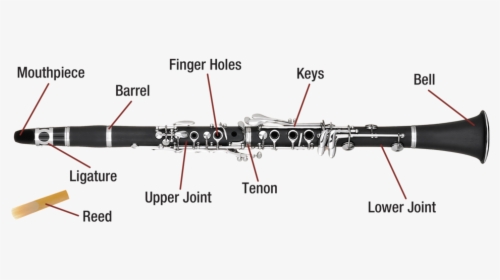 Transparent Clarinet Clipart - Parts Of A Clarinet With Diagram, HD Png Download, Free Download