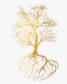 Toby Hana - Gold Tree Root Png, Transparent Png, Free Download