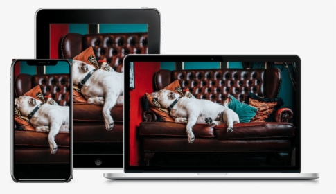 Happily Home Alone Pup Product Image - Couch, HD Png Download, Free Download