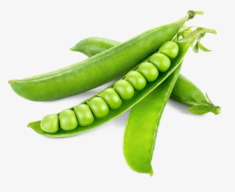 Pea Png Free Download - Green Peas, Transparent Png, Free Download