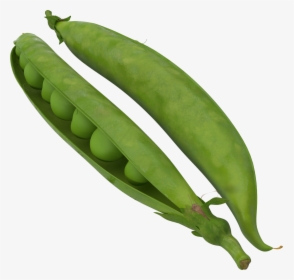 Pea Png Image - Green Bean No Background, Transparent Png, Free Download