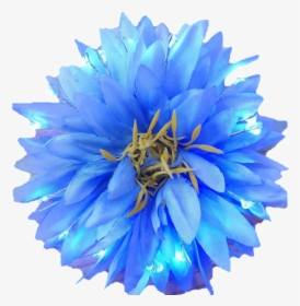 Blue Light Up Glowing Hair Flower -littlelightlab - Real Blue Flower Png, Transparent Png, Free Download