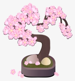 Graphic Bonsai Tree Bonsai Free Photo - Cherry Blossom, HD Png Download, Free Download