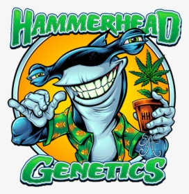 Hammerhead Genetics Logo - Hammerhead Shark, HD Png Download, Free Download
