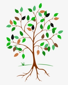 Drawing Tree With Roots, HD Png Download, Free Download