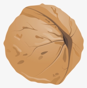 Walnut Png Clipart Image - Clipart Walnut, Transparent Png, Free Download