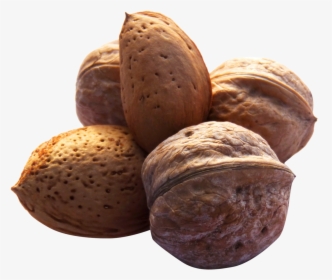 Walnut Png Image - Nuts Transparents, Png Download, Free Download