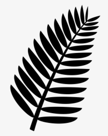 Palm Leaf Clipart Black And White, HD Png Download, Free Download