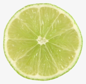 Lime Slice Png , Png Download - Lime Slice, Transparent Png, Free Download